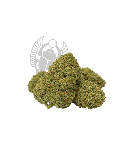 Super Lemon Haze CBD Indoor