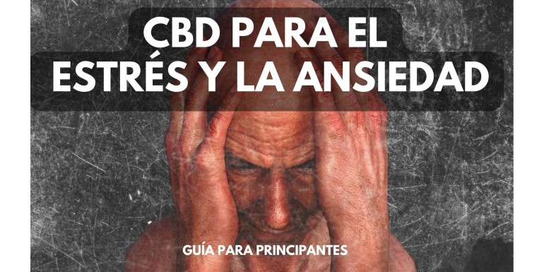CBD para el estrés y la ansiedad: Guía práctica para principiantes